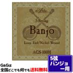（１セット）アリア バンジョー弦 ブルーグラス AGS-100BJ ARIA BANJO STRINGS