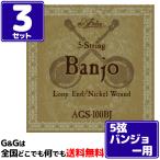 GW店休期間限定ポイントアップ　（３セット）アリア バンジョー弦 ブルーグラス AGS-100BJ ARIA BANJO STRINGS