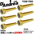 ソリッドブラス製ブリッジピン (6本セット) アバロンインレイ、フラットヘッド ダンドレア TONE PINS D'Andrea TP2A