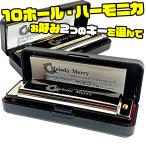 GW店休期間限定ポイントアップ　全12キーから２つ選んで　10ホールハーモニカ 20音 ブルースハープ Melody Merry Harmonica Blues Harp MH-100