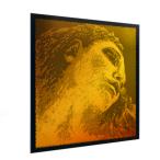 PIRASTRO ピラストロ エヴァピラッツィゴールド バイオリン弦 G線 4/4 SYNTHETIC/GOLD VIOLIN EVAH PIRAZZI GOLD 4154 G