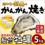 「ミルキー鉄男のがんがん焼き」広島県産　2025-26シーズン採れたて〔殻付き牡蠣のみ 5kg(スチロール箱入り)〕ガンガン焼のおかわりに　かき小屋直送　送料無料