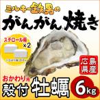 ショッピング広島 「ミルキー鉄男のがんがん焼き」広島県産　2025-26シーズン採れたて〔殻付き牡蠣のみ 6kg(スチロール箱入り)〕ガンガン焼のおかわりに　かき小屋直送　送料無料