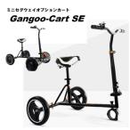 2月発送『Gangoo-Cart SE』 取外し 折畳 可能 カート オプションパーツ ミニセグウェイ セグウェイ バランススクーター は付属しておりません