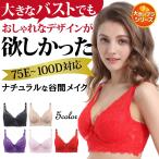 ブラジャー 大きいサイズ 総レース 大きいブラ ワイヤー つけ心地 ソフト フルカップ 上品 エレガント レディース