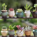  цветочный горшок суккулентное растение горшок посадочная машина керамика стильный цветочный горшок горшок симпатичный интерьер суккулентное растение горшок низ дыра есть легкий часть магазин офис салон украшение 