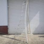 [ Gifu departure прямой самовывоз ограничение ]*pika корпорация GMK-300A максимальный использование масса 100kg aluminium A type штатив стремянка лестница структура . растение *