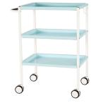  steel Wagon II голубой RFWG2-STBL раз . steel Wagon medical Wagon Cart ( частное лицо sama доставка возможность товар )