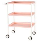  steel Wagon II розовый RFWG2-STPK раз . steel Wagon medical Wagon Cart медицинская помощь klinik красота . красота салон ( частное лицо sama доставка возможность товар )