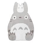  Tonari no Totoro . днем . Kett махровое покрывало полотенце детский сад уход за детьми ..... входить . входить . подготовка Kids Ghibli 