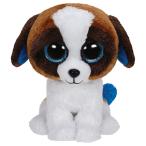 ビーニーブーズ ty 〔 デューク / DUKE 〕Mサイズ ぬいぐるみ 犬 イヌ いぬ 白 茶