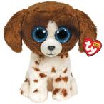 ビーニーブーズ ty 〔 マドルズ 〕M イヌ 犬 ふわふわ 動物 ぬいぐるみ Beanie Boo's