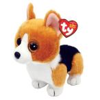 ビーニーベイビーズ ty 〔 コリン 〕M  イヌ 犬 動物 ぬいぐるみ Beanie Babies ビーニーブーズ