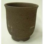 雪割草の植木鉢　３．３号