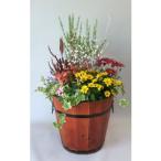 季節の おまかせ 寄せ植え 寄植え 冬の花 冬の寄せ植え 冬〜春の寄植え アレンジ コンテナ 木製焼杉樽 コンテナ 旬の花 お誕生日  ギフト に最適
