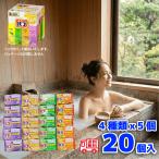 花王 バブ花王 バブ 厳選 4種 20錠セット 入浴剤 詰め合わせ アソート ギフト お試し 炭酸ガス 温泉気分 ゆず 森 ひのき ラベンダー