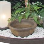 水鉢 和風 ウォーターガーデン 庭 水生植物 メダカ  タカショー / 水鉢荒土 /小型