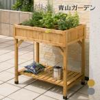鉢 プランター ベジトラグ 菜園 スタンド 木製 ガーデニング タカショー / レイズドベッド ハーブプランター ナチュラル グレイウォッシュ /小型