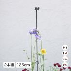 ..GARDEN STORY Series / растения поддержка кольцо 125cm 2 шт. комплект лилия &amp;. глава сосна ....&amp; белка курица &amp;a Hill маленькая птица &amp;katatsumli/ маленький размер 