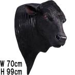 アンガス牛の頭部 ウ�