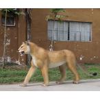 歩く雌ライオンのリアル大型ネコ科オブジェ