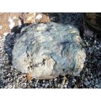 . Taro камень Hokkaido двор камень . камень Япония сад . камень g-kur2011-105 японский стиль камень двор . Taro 