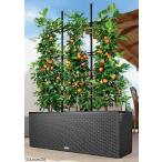 ドイツ製デザインプランターコテージ...