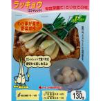  осень .. луковица овощи луковица la both примерно 130ge Sharo to~ rakkyou семена здоровье овощи 