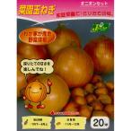  осень .. луковица овощи луковица Home tama лук-батун примерно 20 лампочка ~.. шар лук порей семена здоровье овощи 