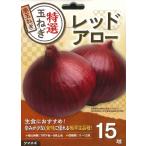  осень .. луковица овощи луковица красный tama лук-батун красный Arrow примерно 15 лампочка ~ специальный отбор красный шар лук порей желтый шар лук порей семена здоровье овощи 