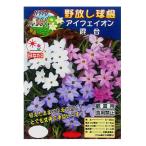  осень .. луковица ... луковица CL I fe ион смешивание 10 лампочка входить 