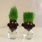 hair LABO( волосы labo)[68999 6900]~ культивирование комплект simple газонная трава кукла .. шерсть . растягивать . растения 