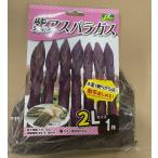  фиолетовый спаржа очень большой 2L АО рассада ~ futoshi стебель . мягкость число год можно наслаждаться 