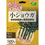  весна .. луковица .. тест . маленький имбирь примерно 500g( пакет . час )~ сырой . семенной клубень семена лист имбирь имбирь здоровье овощи 