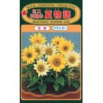  цветок семена Mini подсолнух лето история to- ho k. tane