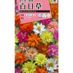 花種子 百日草（ジニア） ザハラダブルミックス タキ
