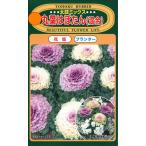  цветок семена круг лист. ...( смешивание ) futoshi тамбурин без тарелочек Mix to- ho k. tane