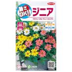  цветок семена jinia Pro Fusion симпатичный Mix sakata. tane сельское хозяйство . вода производство . товар вид регистрация регистрация товар вид название SAKZIN016 SAKZIN009 др. 1 вид за границей .. запрет 