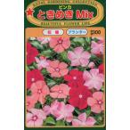  цветок семена ведро ka время ..Mixto- ho k. tane