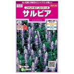 花種子 サルビア ファリナセアストラータ サカタのタ