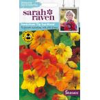 【種子】 Johnsons Seeds Sarah Raven Brilliant for Bees & Butterflies Nasturtium Tip Top Mixed ナスタチウム・チップ・トップ・ミックス