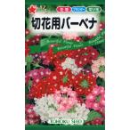 花種子 切花用バーベナ トーホクのタネ