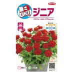 花種子 ジニア プロフュージョン ダブルレッド サカタ