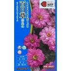 花種子 百日草（ジニア） ベリーズダブル ディープロ