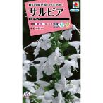 花種子 サルビア ユキプルコ タキイ種苗のタネ農林水