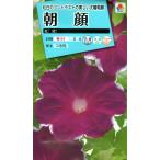  цветок семена утро лицо ..takii вид рассада. tane