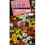 花種子 百日草（ジニア） ザハラミックス タキイ種苗