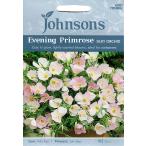 【種子】Johnsons Seeds Evening Primrose (Oenothera) Silky Orchid イブニング・プリムローズ （エノセラ） シルキー・オーキッド ジョンソンズシード