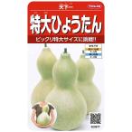  овощи семена очень большой бутылочная тыква небо внизу один sakata. tane