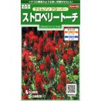  цветок семена Crimson clover клубника фонарь sakata. tane